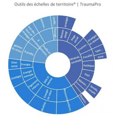 Outil Echelle de territoires Traumapro